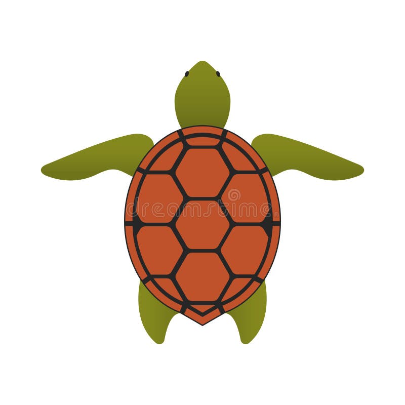 Tortue Art vectoriel, icônes et graphiques à télécharger gratuitement