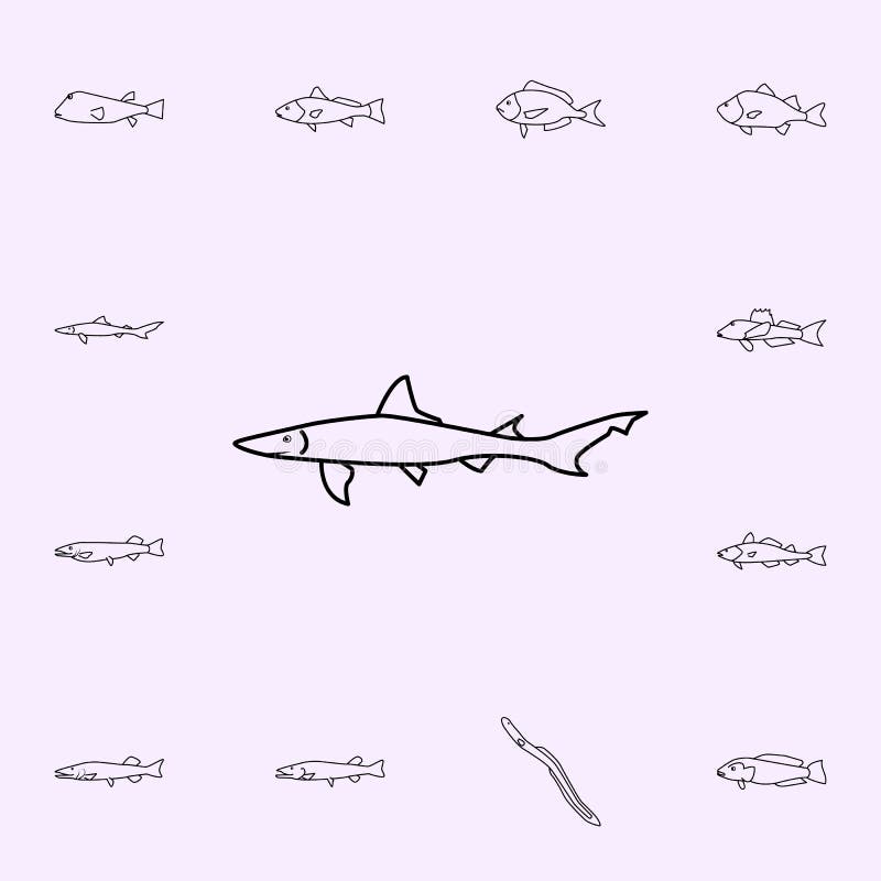 Dogfish Stock Illustrations, Vecteurs, & Clipart (83 Stock Illustrations)