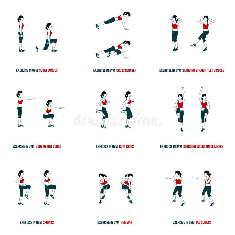 Ensemble D'exercice D'échauffement Avant Séance D'entraînement Muscles De  Bout Droit Illustration de Vecteur - Illustration du muscles, aérobie:  153271559