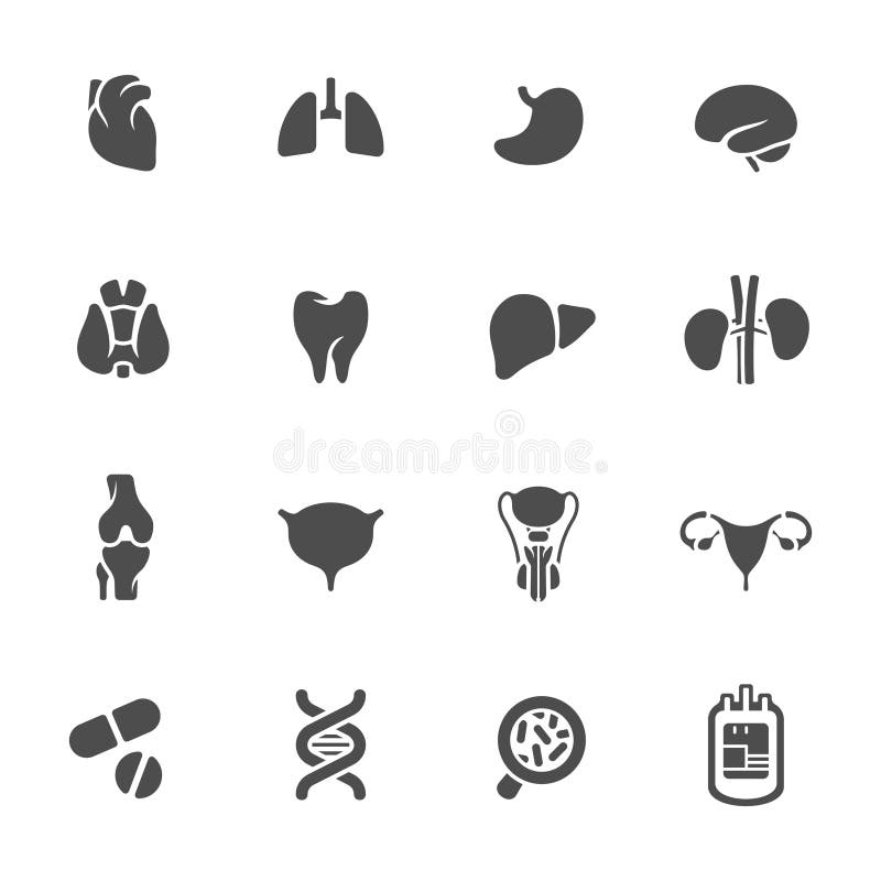 Icônes médicales. Organes humains illustration libre de droits Icônes médicales. Organes humains illustration libre de droits