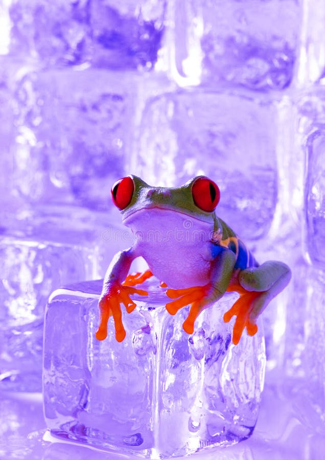 ICE