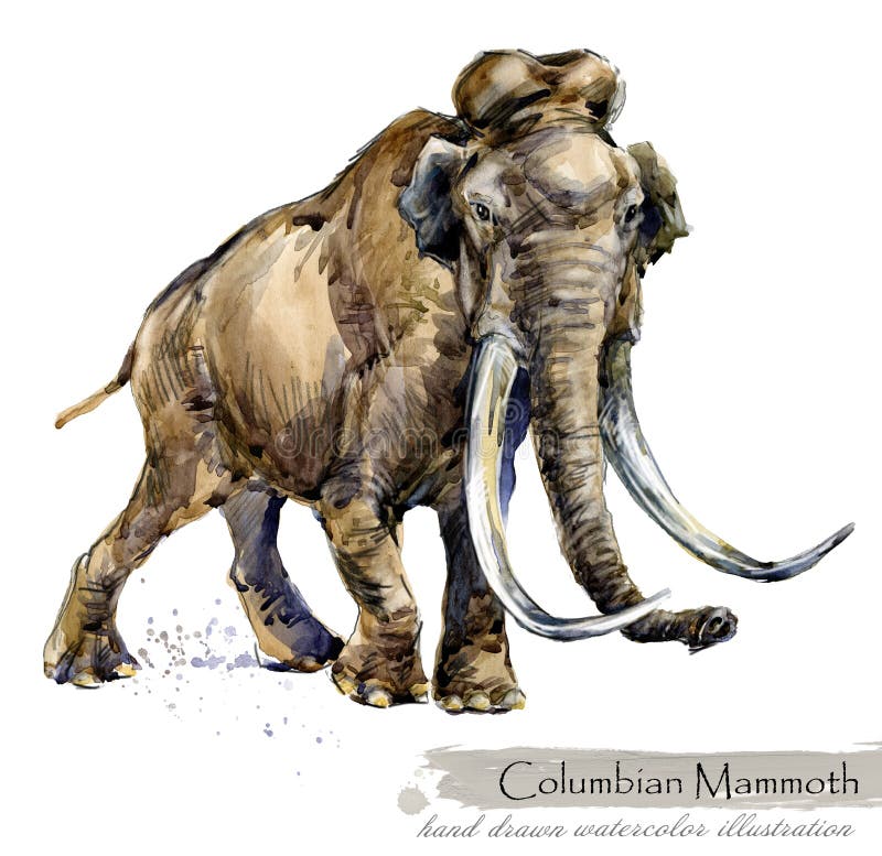 Ice Age wildlife. prehistoric period fauna. Columbian mammoth.