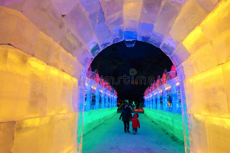 The ice carving and visits in the park nightscape
