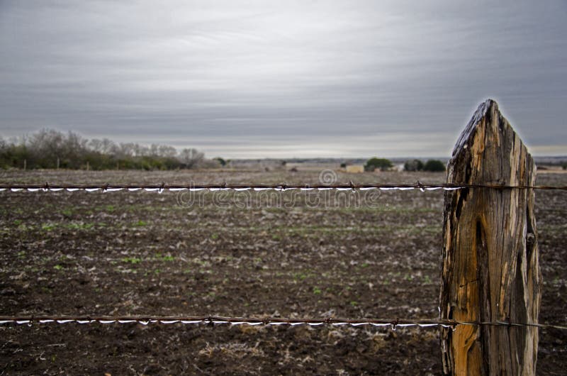 Ice Cold Barb Wire stock photography