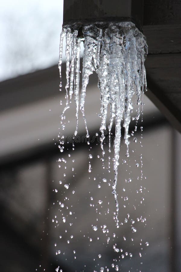 Ice Covered Icicles Starting To Melt. Stock Photo Image of cool
