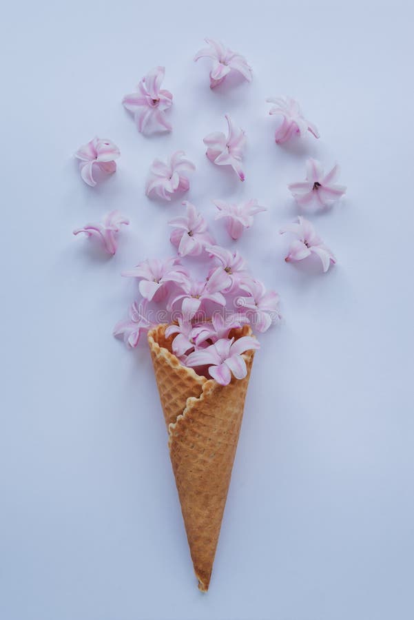 Ice cream horn with pink hyacinth on a blue background. For Happy Mother`s Day, Women`s Day or Birthday greeting card royalty free stock image Ice cream horn with pink hyacinth on a blue background. For Happy Mother`s Day, Women`s Day or Birthday greeting card royalty free stock image