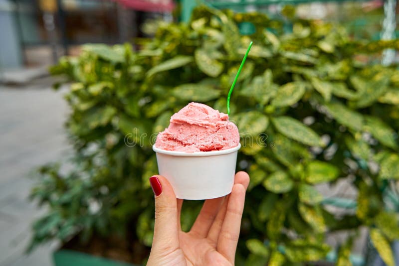 Ice Cream in a Paper Cup. Sweets and Weekend Walks Stock Image Image