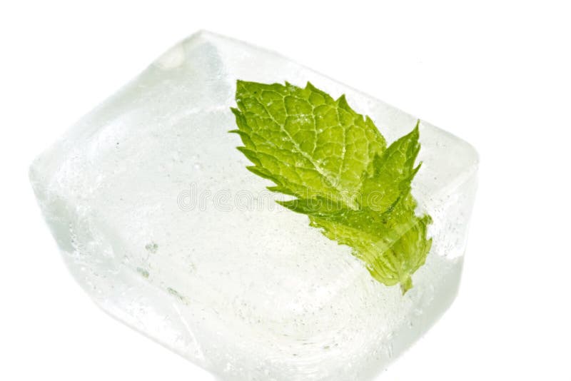 Ice cube with mint leaf