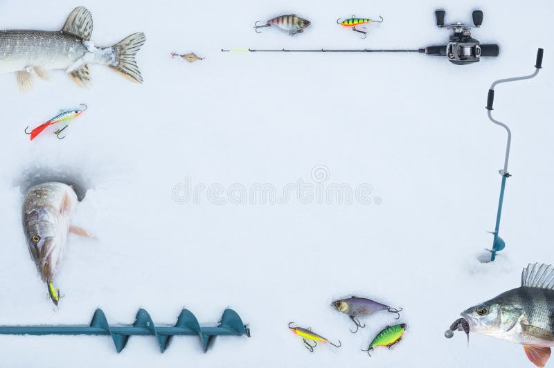 5,413 Fish Template Stock Photos - Free & Royalty-Free Stock Photos from  Dreamstime