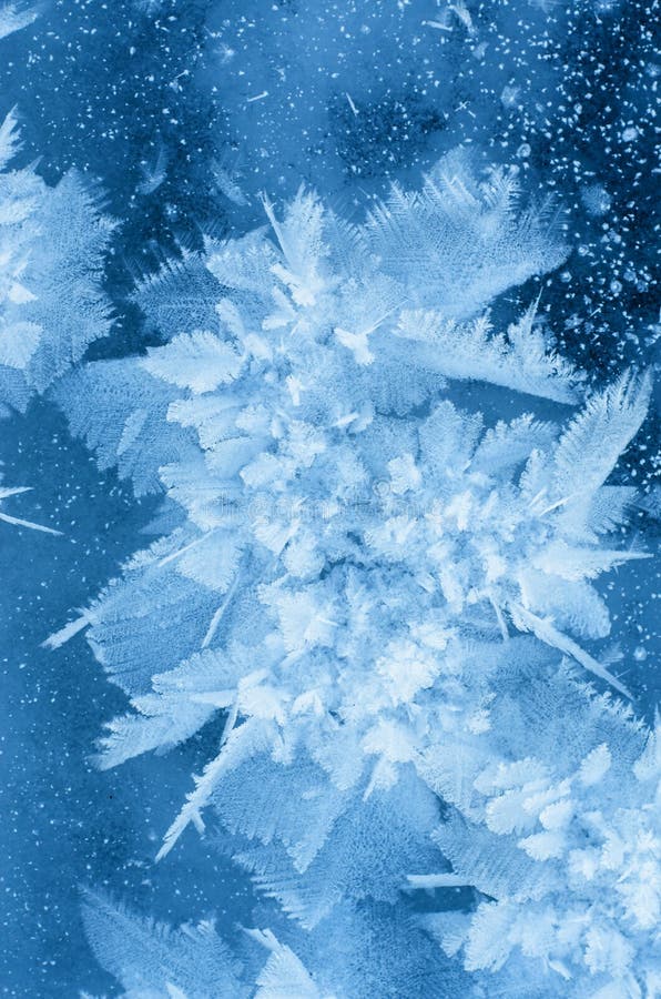 Ice flower stock photo. Image of transparent, window, cool 7515724