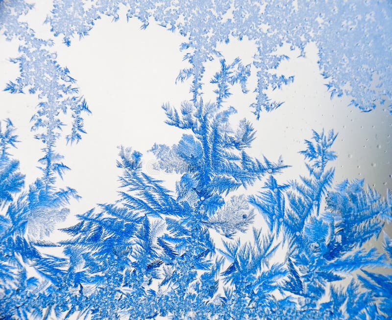Ice flowers 10 stock photo. Image of flowers, crystal 3953280