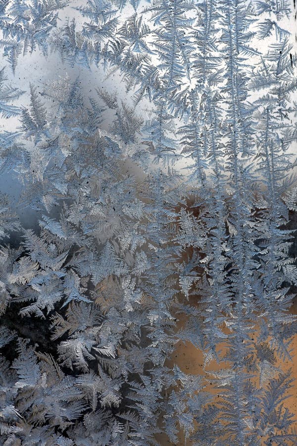 Ice Flowers on Windows Winter Stock Image Image of glass, flowers