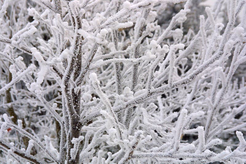 Winter Background With Natural White Frost And Ice Stock Image - Image ...