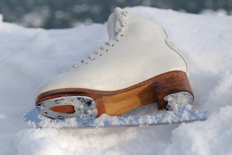 Ice Skating Shoe 17856318 