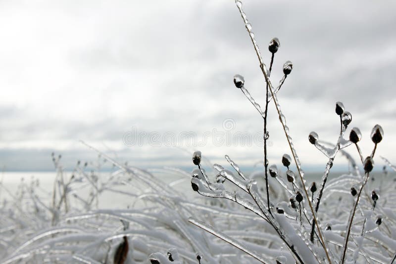 Ice storm