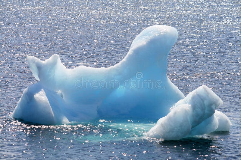 Iceberg