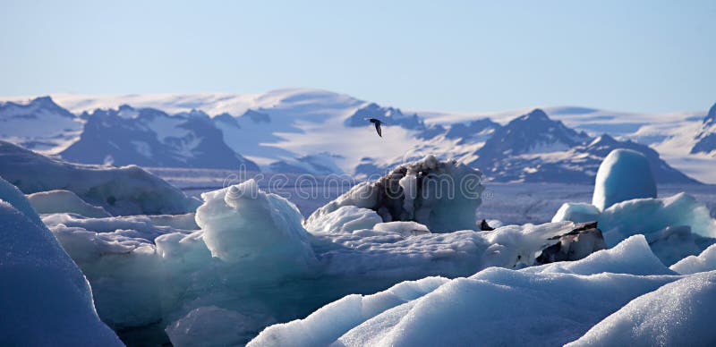 Iceberg Lagoon, Jokulsarlon lake, Iceland