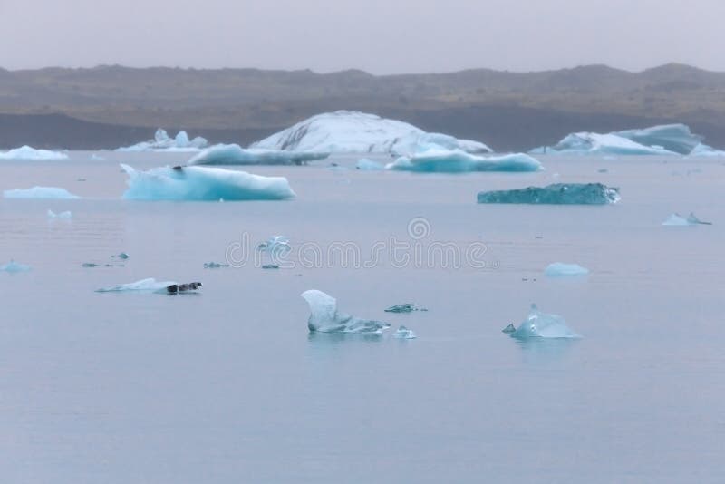 Ledovec laguna Jökulsárlón na jih z island.