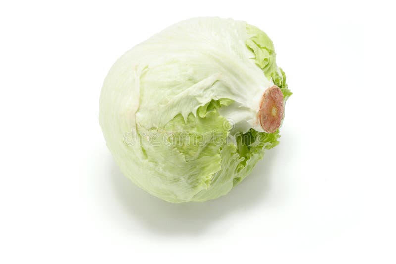 Iceberg Lettuce stock image. Image of salad, food, isolated 13178227