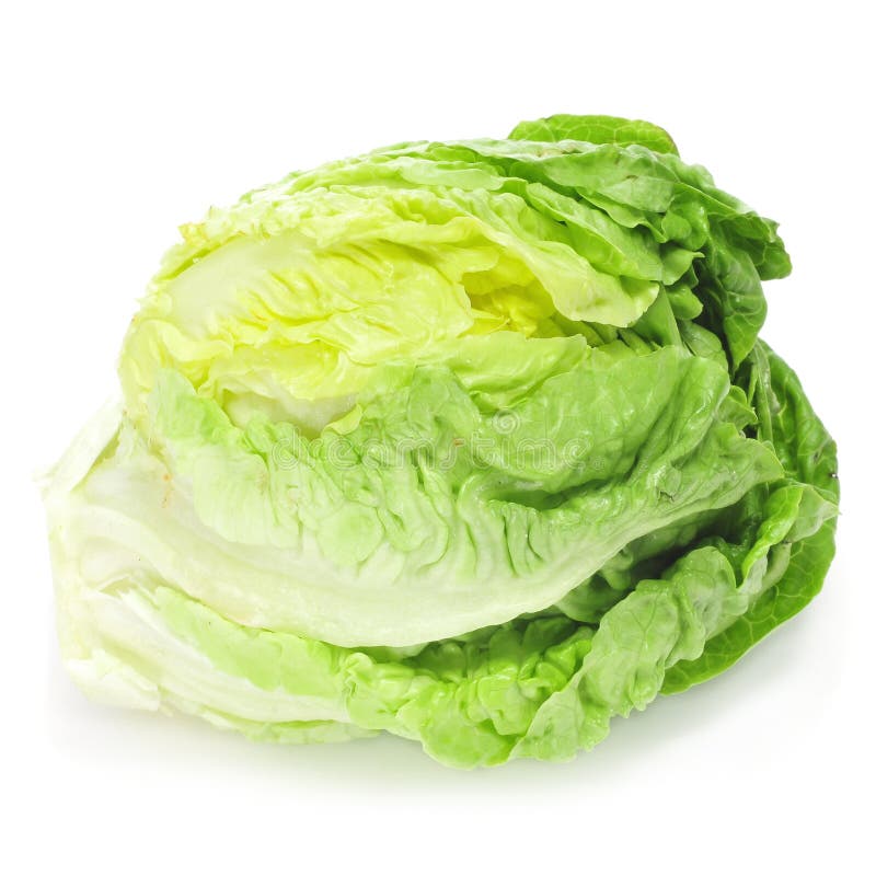 Iceberg lettuce stock image. Image of white, healthy, organic 891969