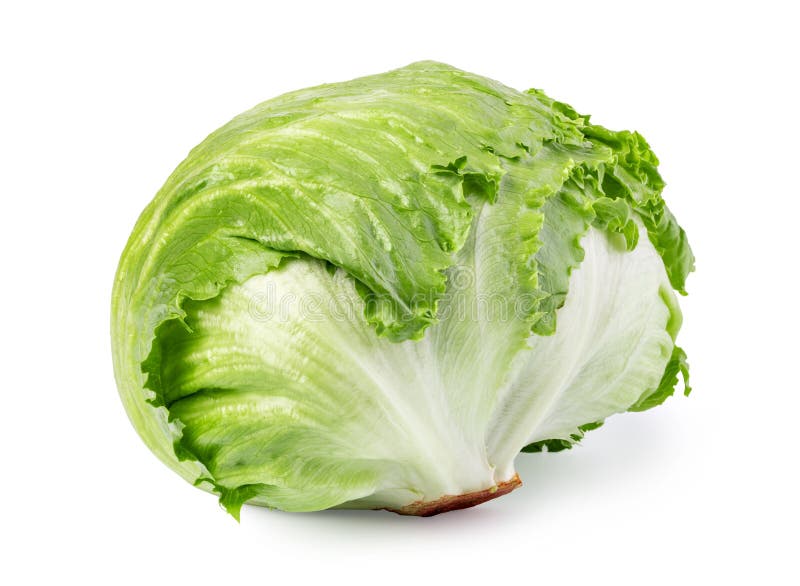 Iceberg lettuce stock image. Image of green, white, healthy 162332981