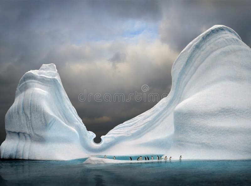 Iceberg con i pinguini sembra piscina.