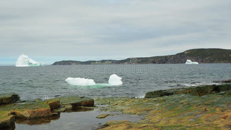 Icebergs le long de la côte de terre-neuve-et-labrador.