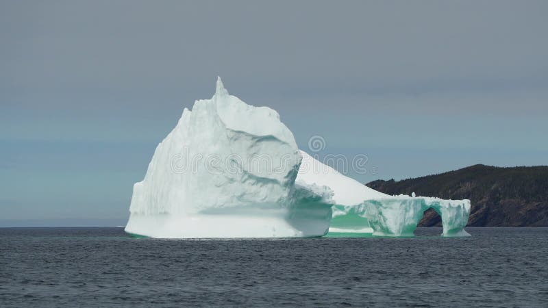 Icebergs le long de la côte de terre-neuve-et-labrador.