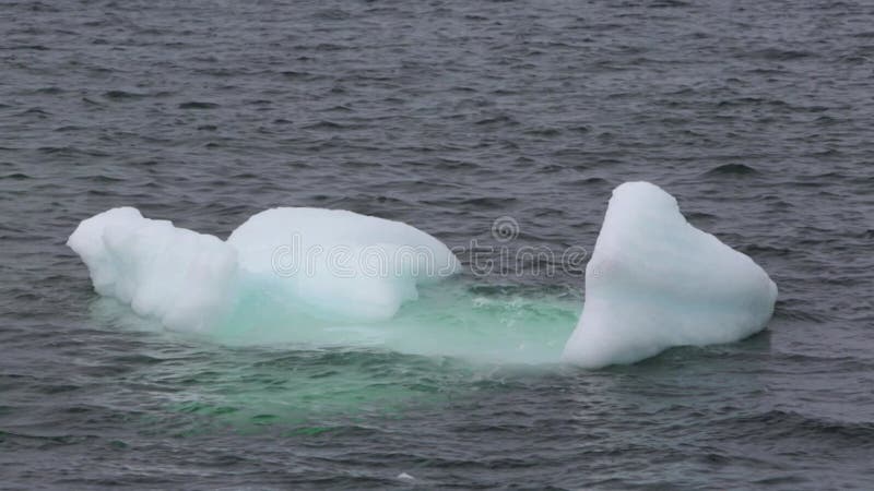 Icebergs le long de la côte de terre-neuve-et-labrador.