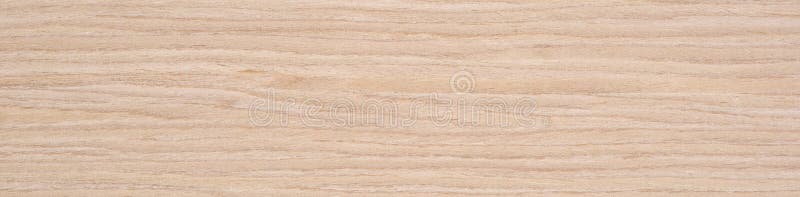 Icecool oak veneer surface with a smooth blend of pale taupe and subtle wood textures royalty free stock photo