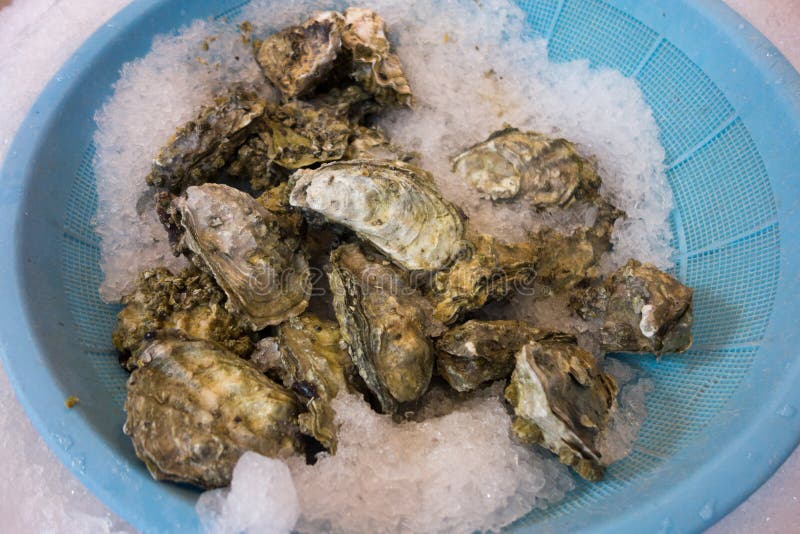 Fresh oyster stock photography