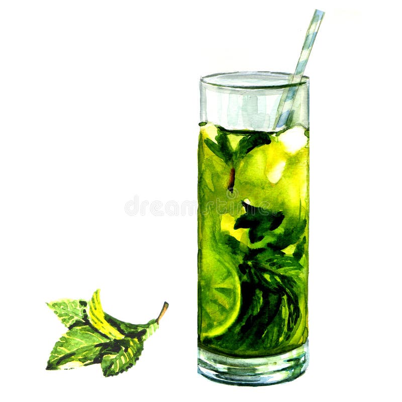 Iced tea with lemon and mint , watercolor painting on white background