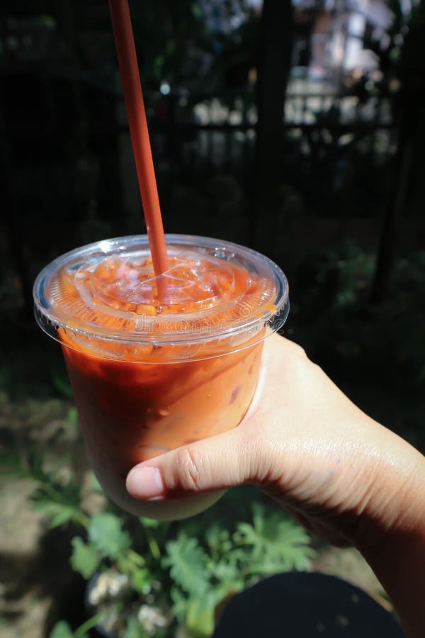 Iced Tea ,milk Tea or Thai Tea or Thai Tea Stock Image Image of sweet