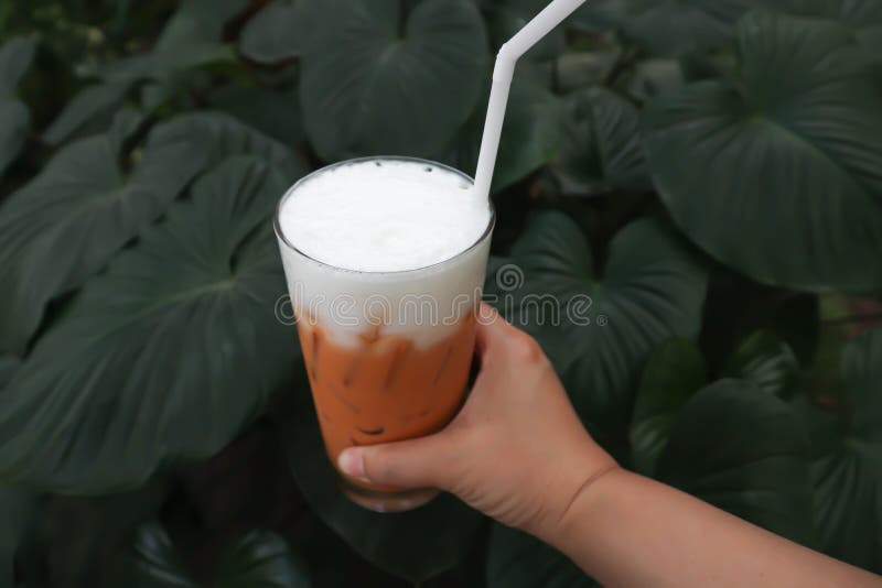 Iced Tea ,milk Tea or Thai Tea Stock Image Image of garden, drink