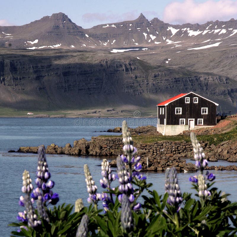 Iceland houses