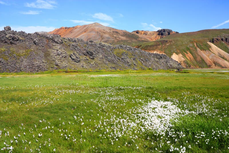 Iceland - Landmannalaugar