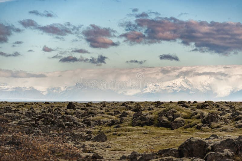 Iceland Moss Landscape with Mountain and Cloudy Sky stock photos