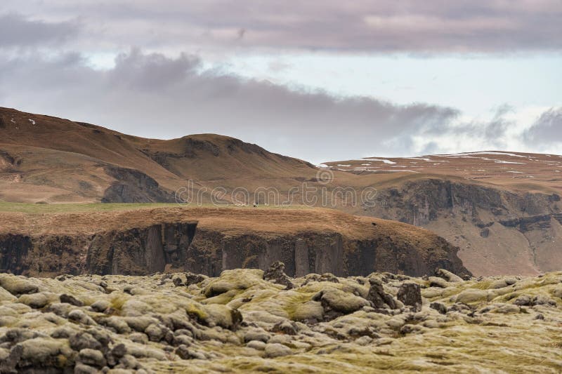 Iceland Moss Landscape with Mountain and Cloudy Sky. Few Sheeps in Background. royalty free stock photos