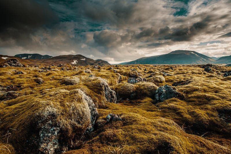 Icelandic Moss Stock Image Image Of Dream Rocks Icelandic 247486865