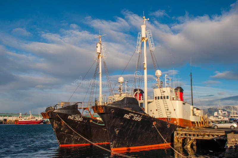 Icelandic whale hunting boats stock image Icelandic whale hunting boats stock image