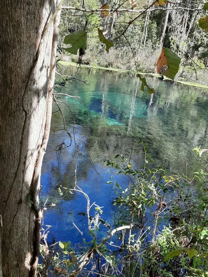 Ichetucknee Springs stock photo. Image of florida, natural 161902766