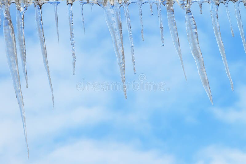 Icicles.Background of blue sky in the spring.