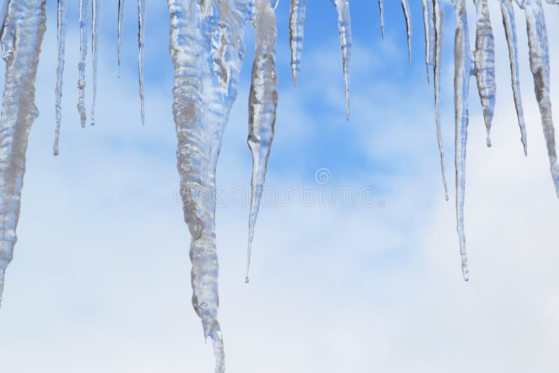 Icicles.Background of blue sky in the spring.