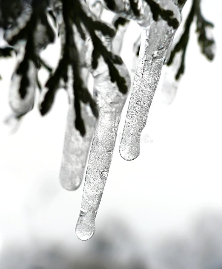 Icicles on bright background