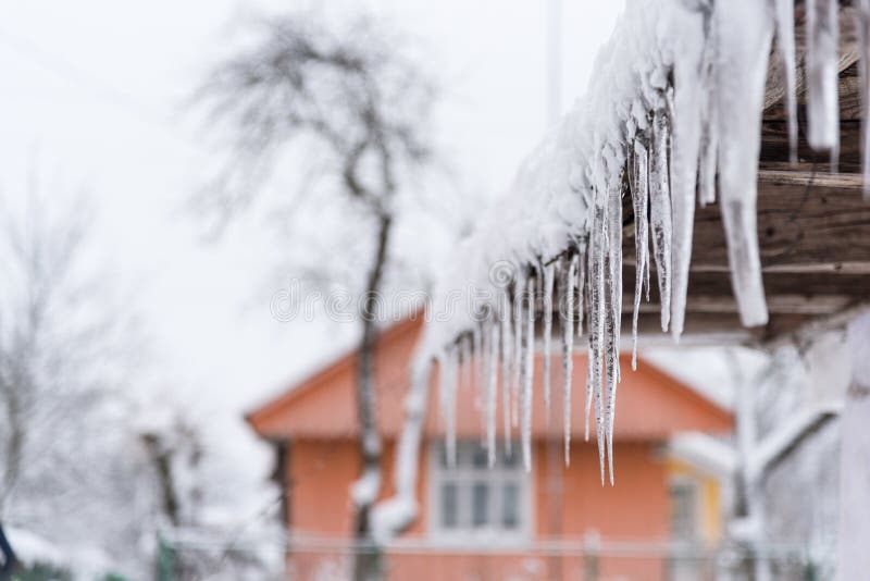 Icicles hang on the snow-covered roof. Danger for passers, threat of death and injury from icicles