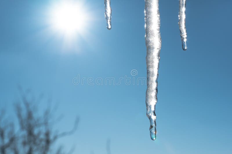 Icicles melt and drip in the spring against the blue sky with the sun and sun rays. Global warming and melting snow and ice. Water