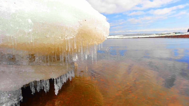 Icicles on the melting snow on Lake Superior in the Spring