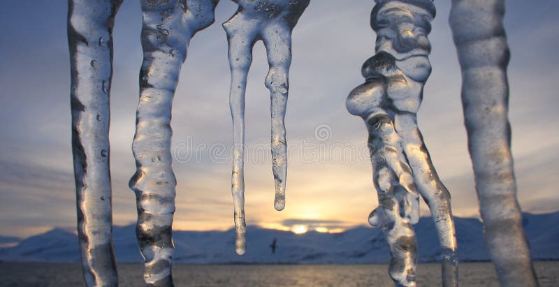 Icicles bird mountains sunset