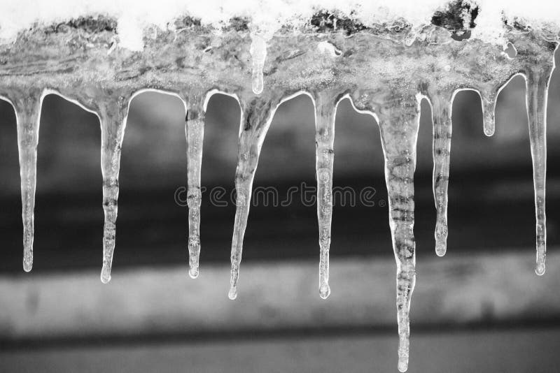 Icicles on roof closeup black and white. Winter weather concept. Froze and ice background. Melting icicles monochrome.