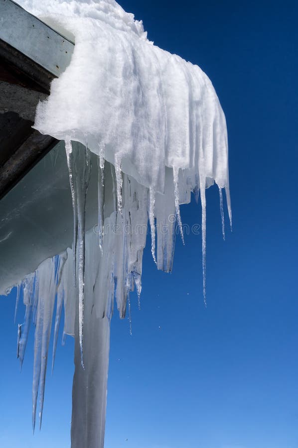 Icicles in winter